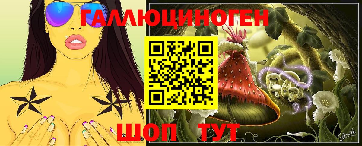 Галлюциногенные грибы Psilocybine cubensis Барнаул